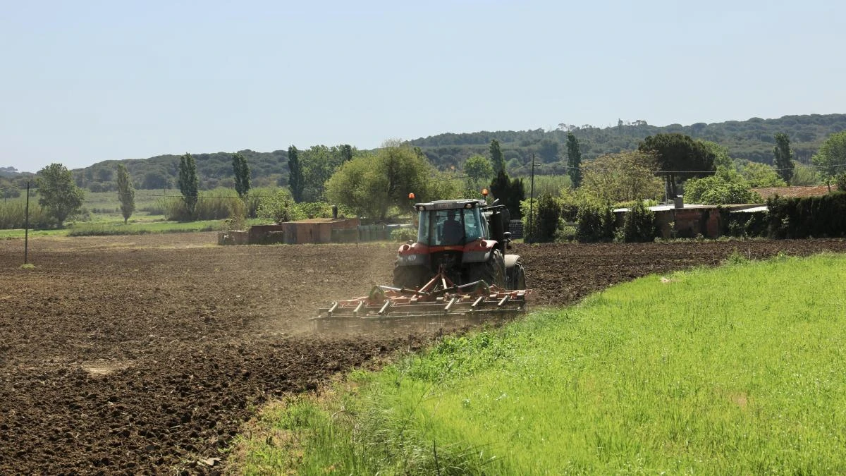 Pendientes del trabajo en el campo