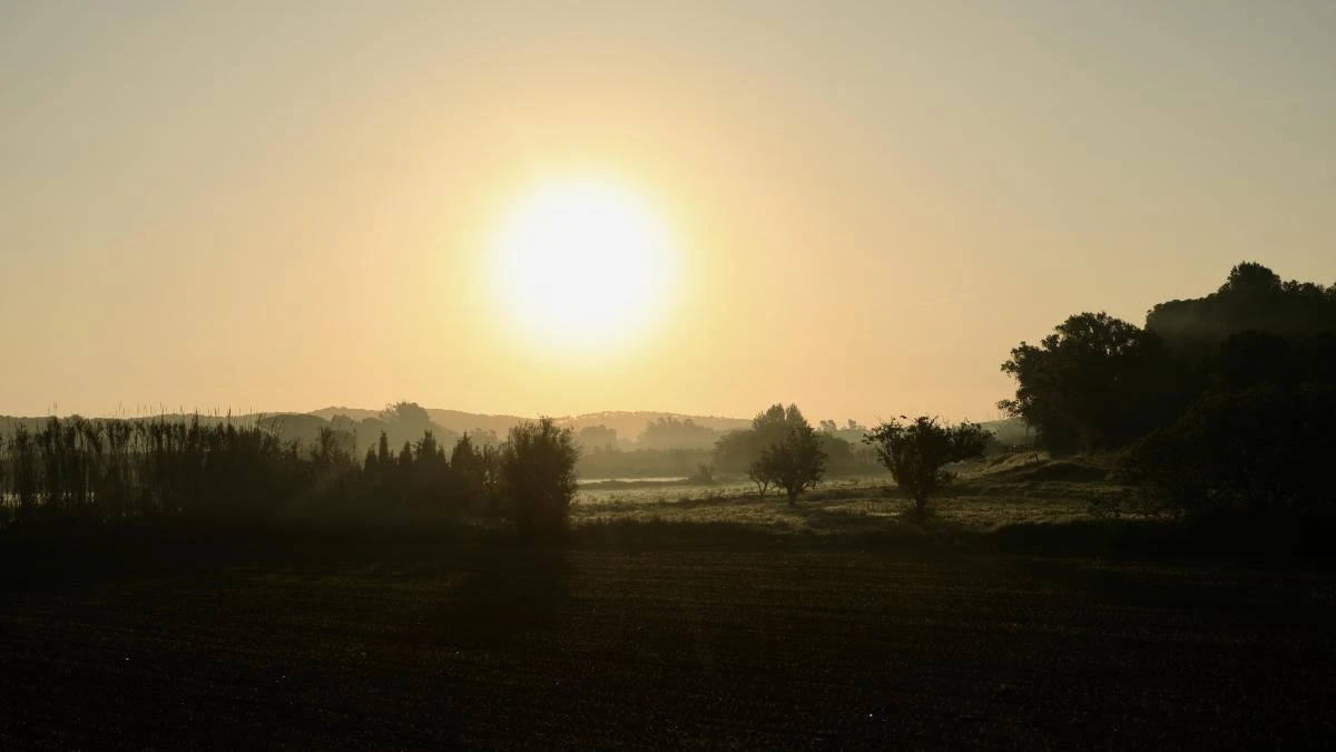 El sol terroso está de moda
