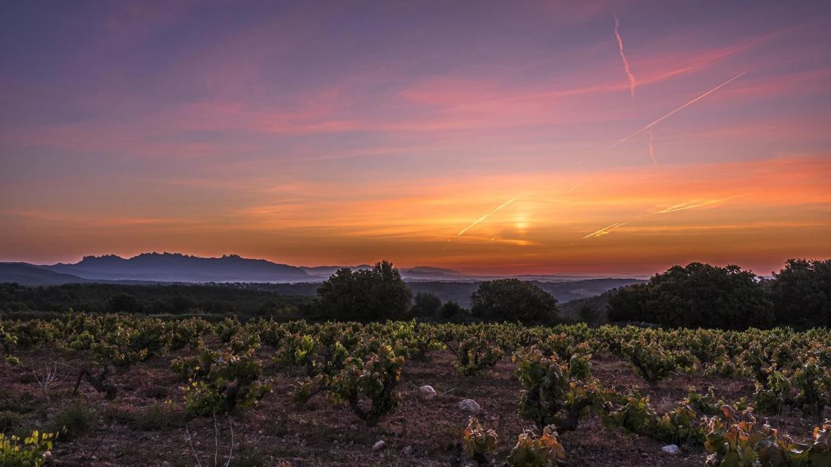 Espectáculo en los cielos del Alt Penedès