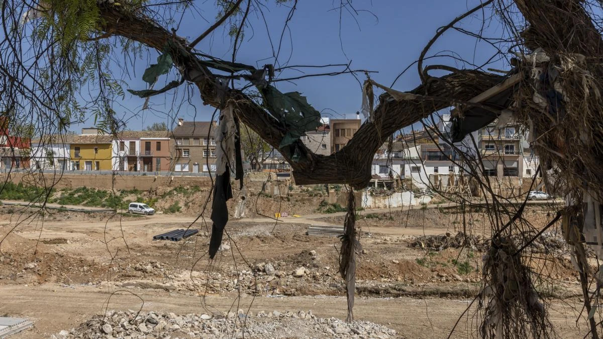 Medio Ambiente proyecta una red de parques inundables junto al Turia, la Saleta y el Poyo