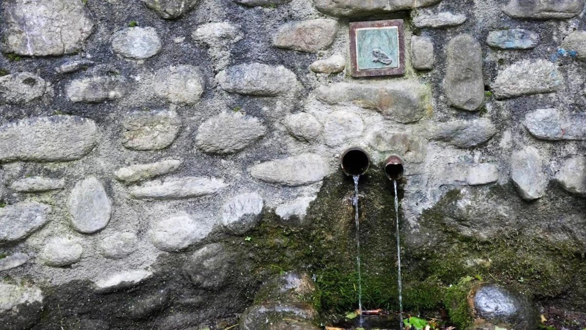 La Font del Tòtil luce en primavera