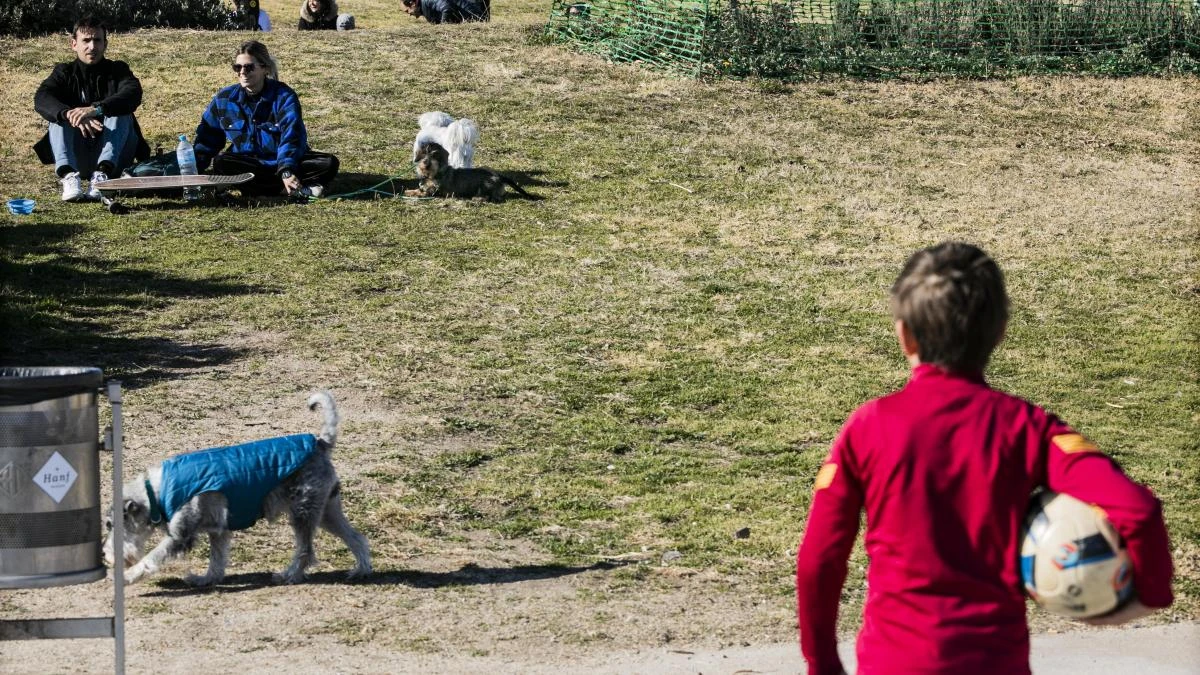 Barcelona repartirá 2.000 paquetes de bolsas para recoger heces de perros