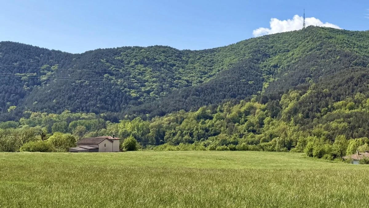 El gran verde de la primavera del Ripollès