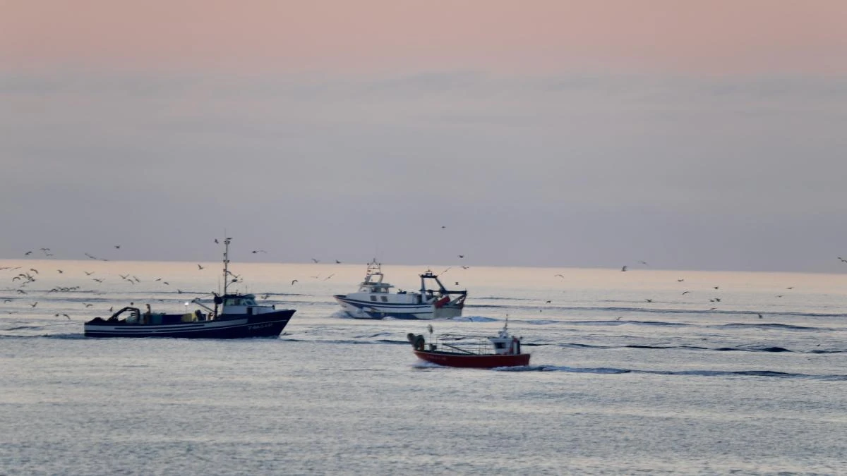 El relevo de los pescadores en Palamós