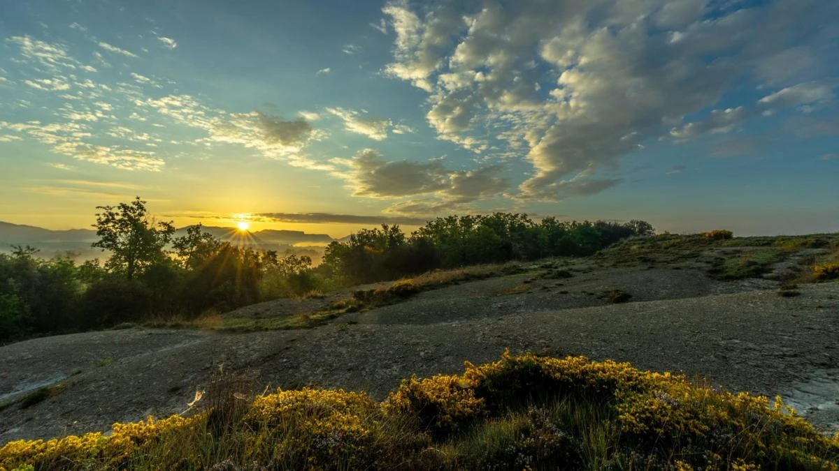 El alba de la primavera