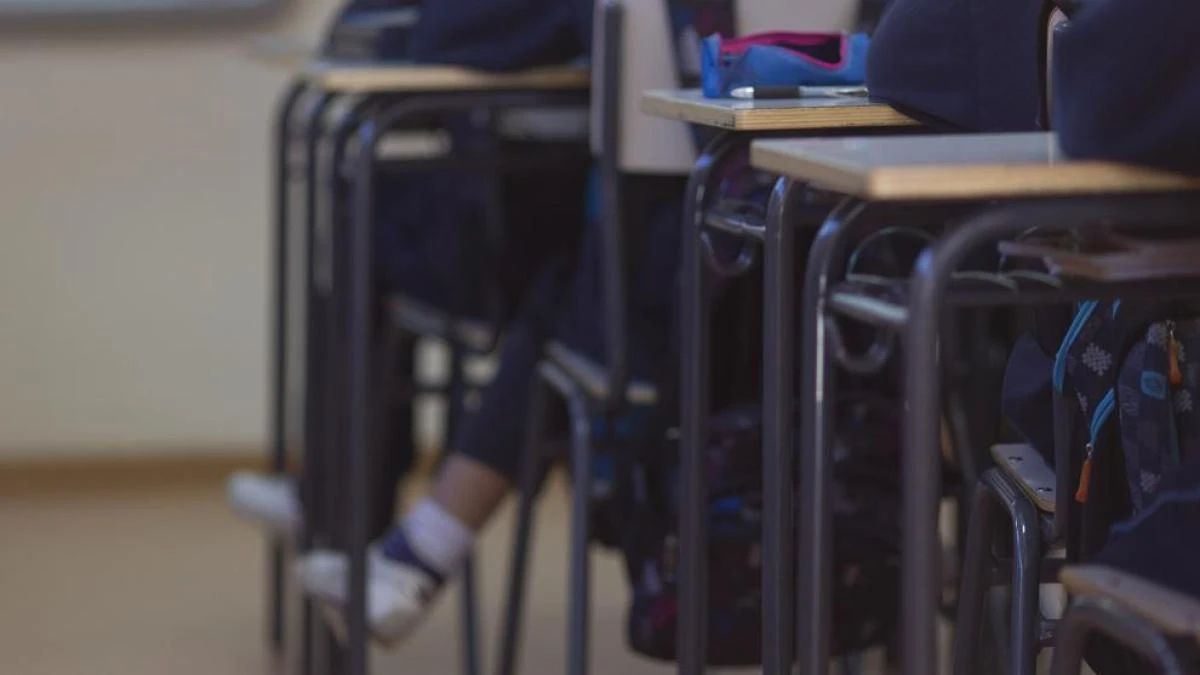 Sancionados cinco alumnos de sexto de Primaria tras ser denunciados por acoso a una niña de 5 años