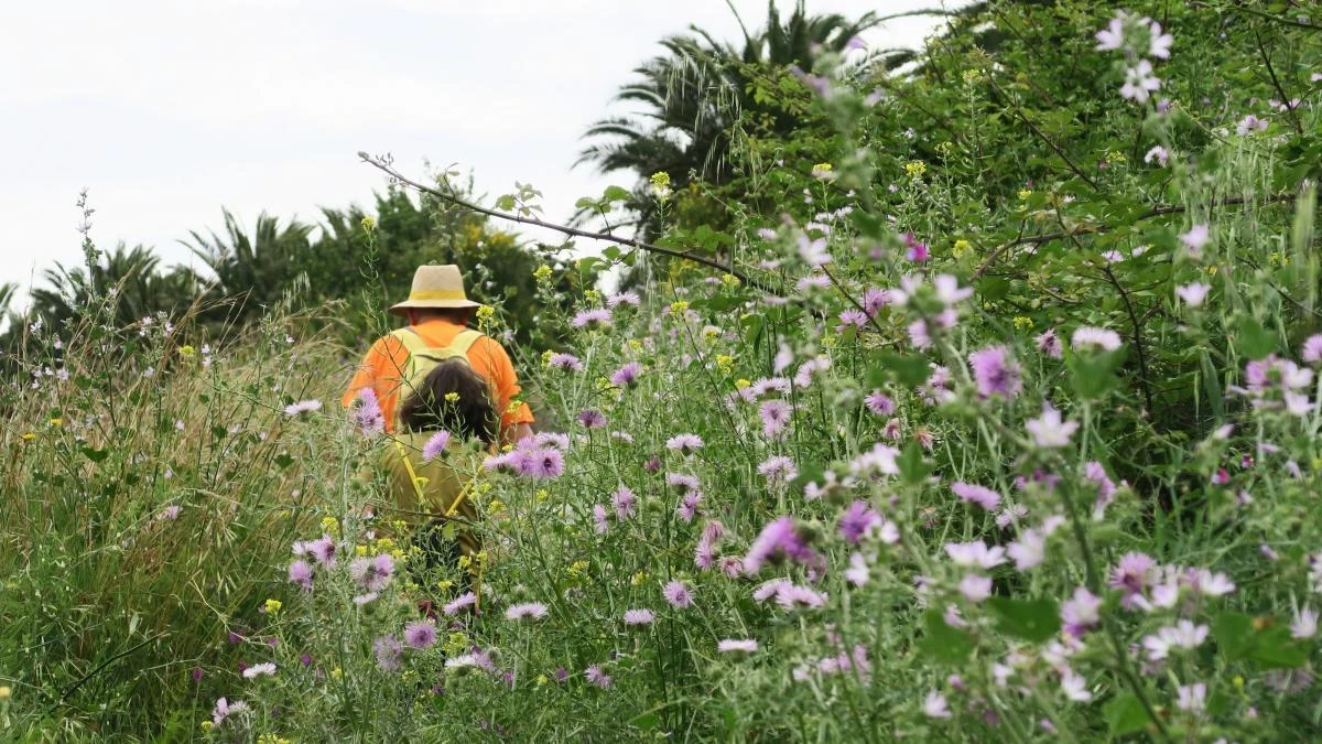 Las flores conquistan el Parc de Montjuïc