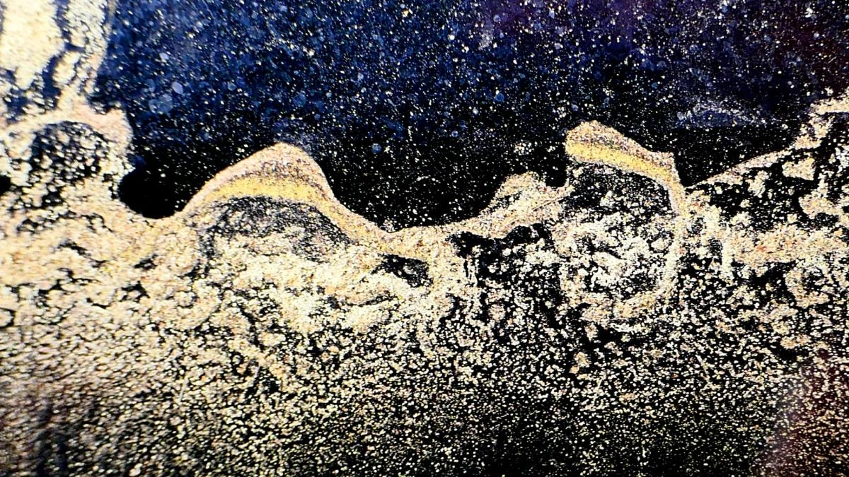 ¿Por qué la oscuridad se adueña de los océanos?
