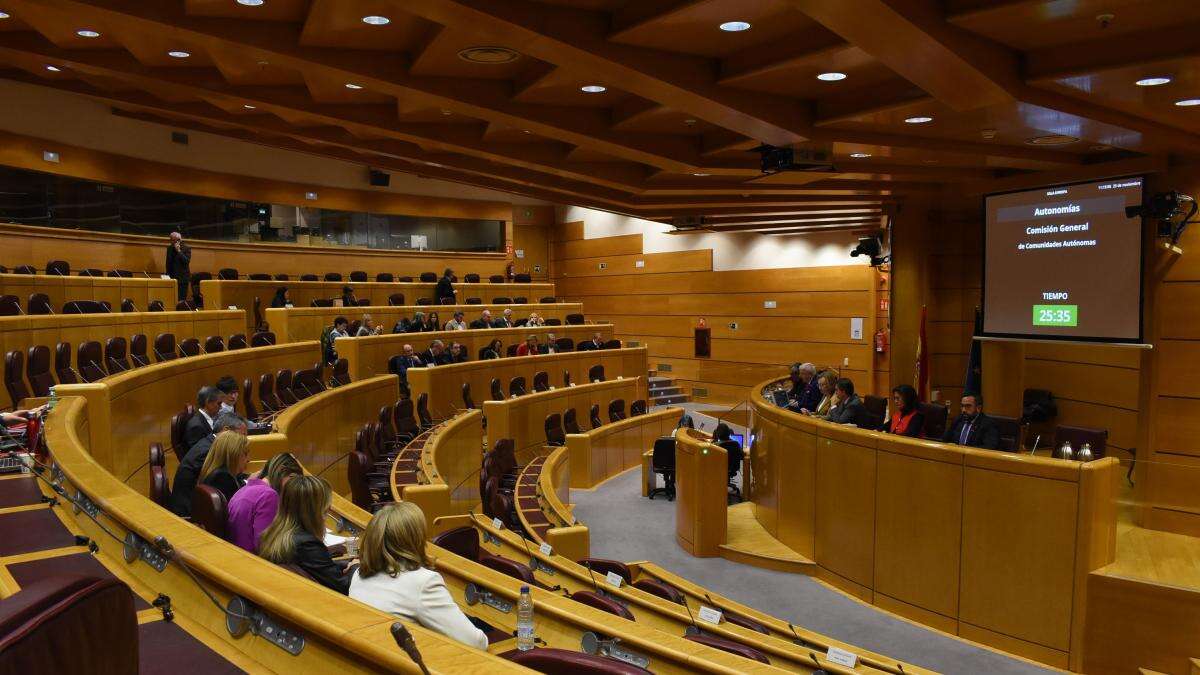 El Senado acoge hoy una cumbre antiabortista pese a las críticas del Gobierno y sus socios