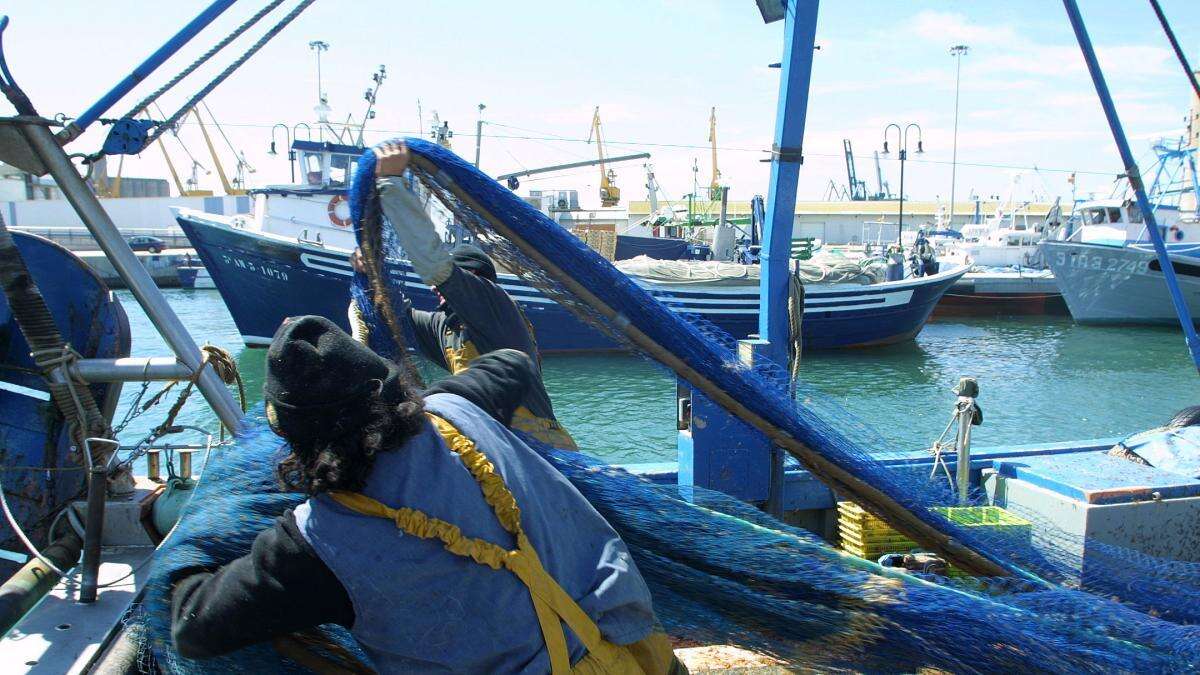 El acuerdo entre Agricultura y los pescadores garantiza la gamba roja en Navidad