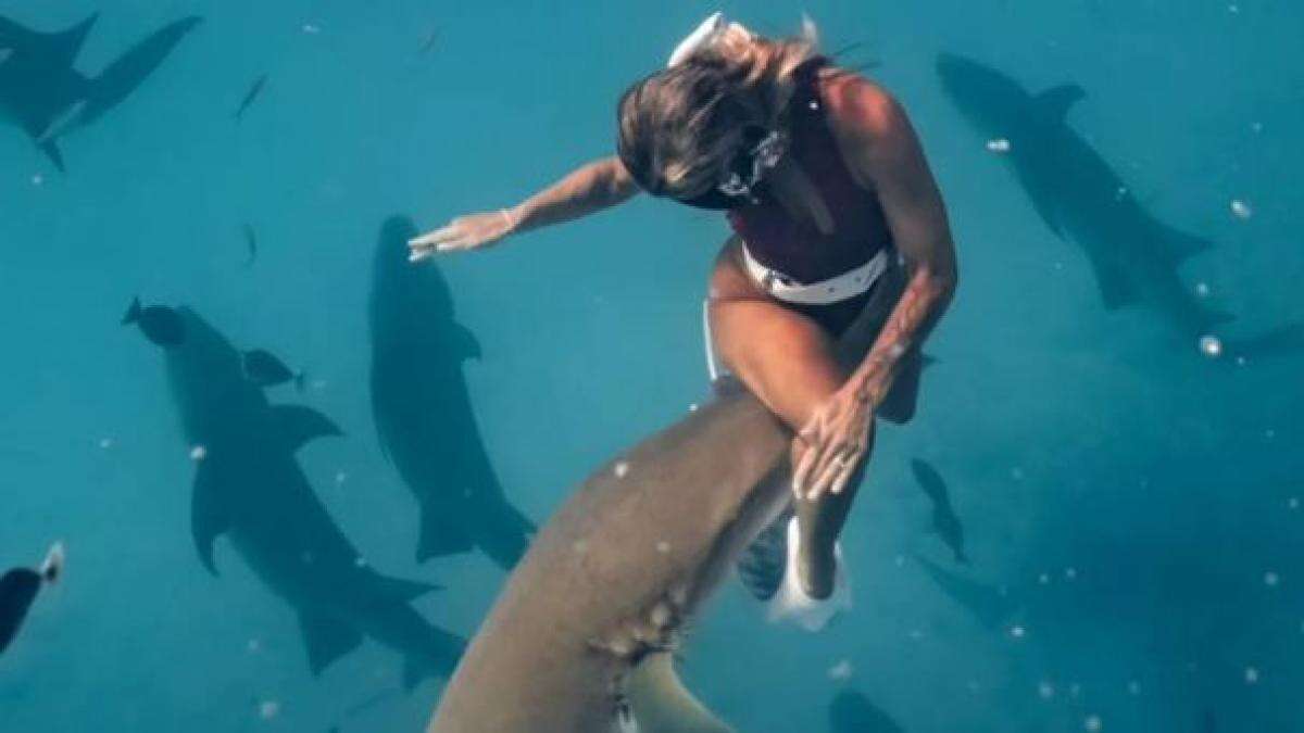 Una turista pierde las dos manos al querer hacer una foto con un tiburón