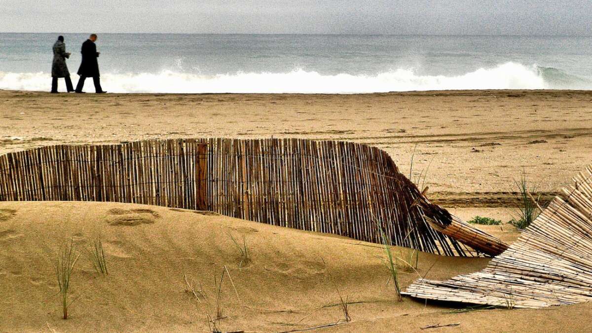 El final de la fría melancolía de invierno