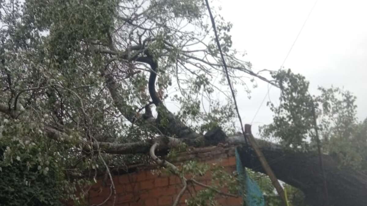 “Señora, ¿tiene luz?”: se hacen pasar por operarios de una empresa de electricidad y asaltan a una jubilada