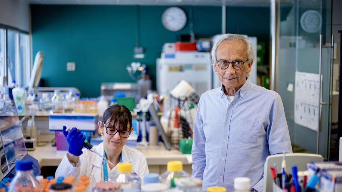 “La investigación del VIH ha ayudado a mejorar las terapias del cáncer”