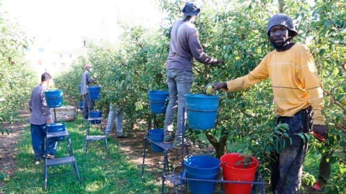 El 58% de los extranjeros mayores de 16 años en España sí trabajan, al contrario de lo que aseguran algunos titulares