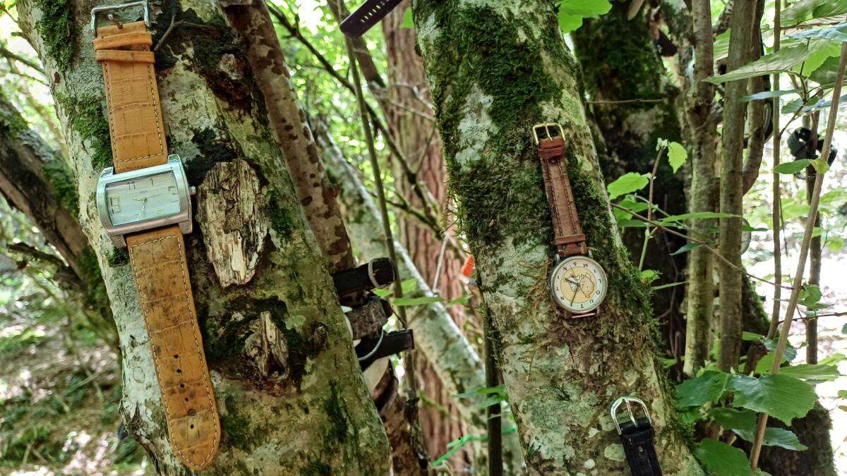 FotoDocs: El mágico Árbol de los Relojes