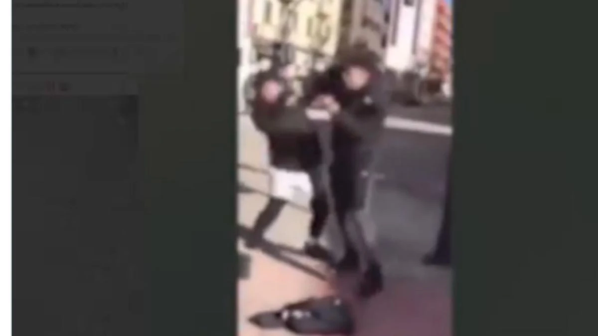 ¿Por qué miles de adultos siguen canales que difunden agresiones violentas entre menores?