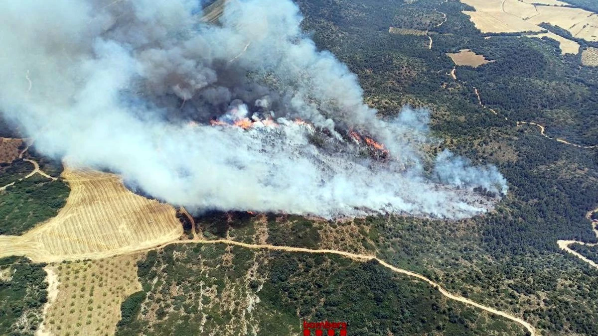 Los bomberos luchan contra un incendio que devora bosques y viñas en Os de Balaguer