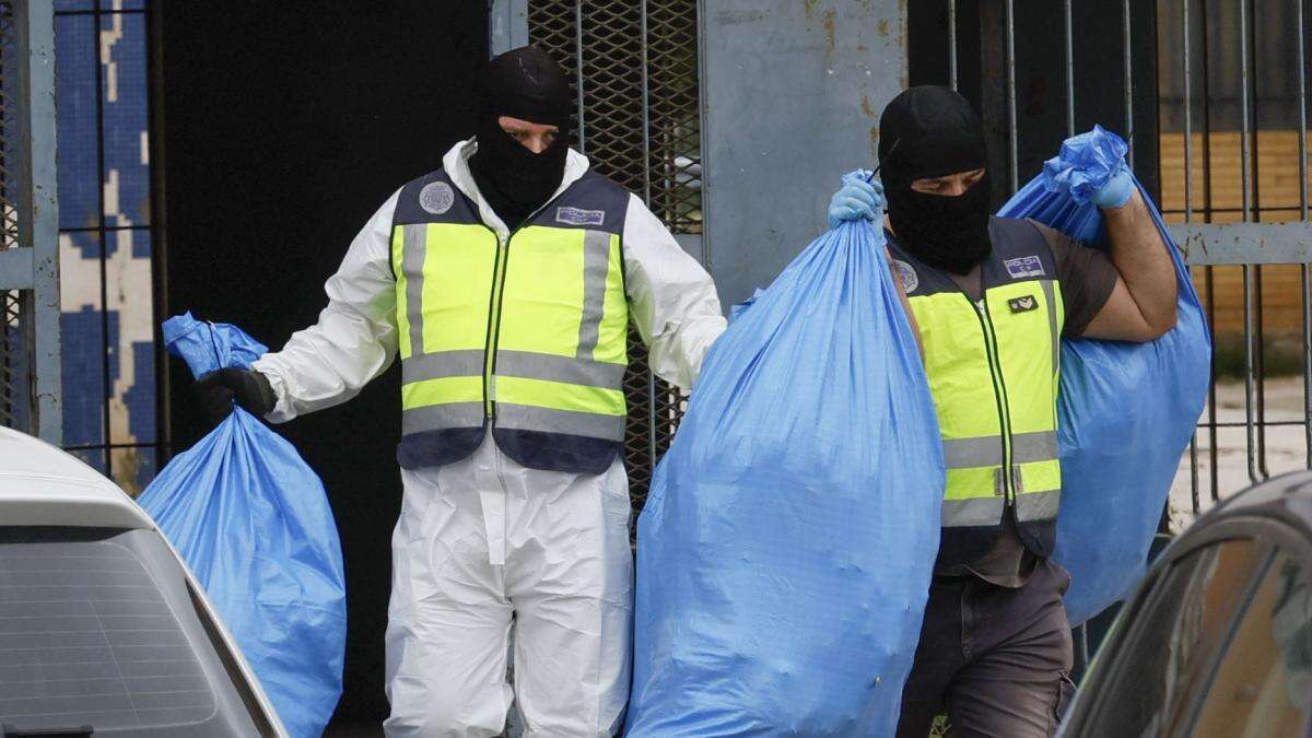 5 encarcelados y 21 plantaciones de marihuana destruidas en las Tres Mil Viviendas de Sevilla