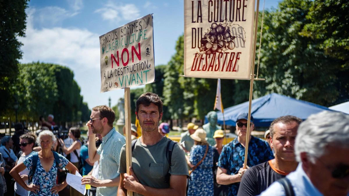 La rebelión contra un insecticida atiza el combate político y social en Francia