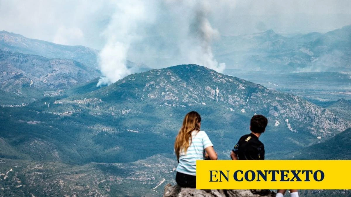¿Por qué los bosques están abandonados y hoy son un polvorín?