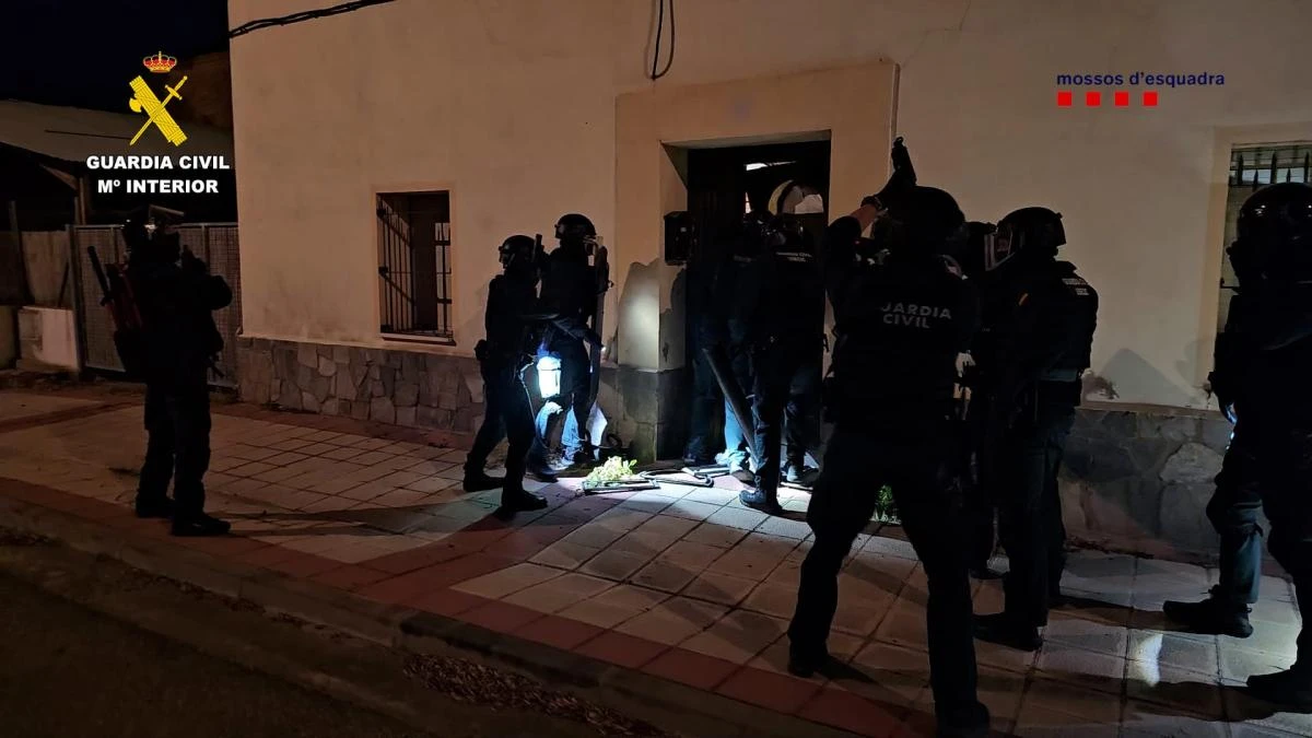 Desarticulada una red dedicada al cultivo de cannabis en Aragón y Catalunya