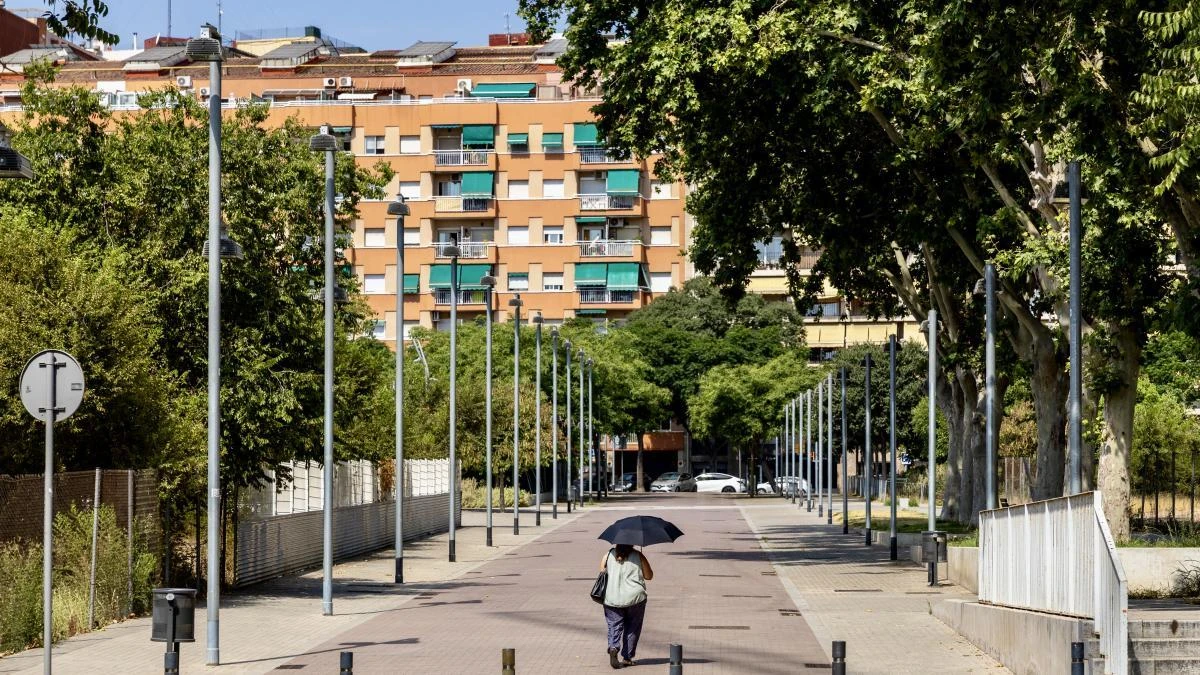Malas prácticas del urbanismo ignoran el calor extremo