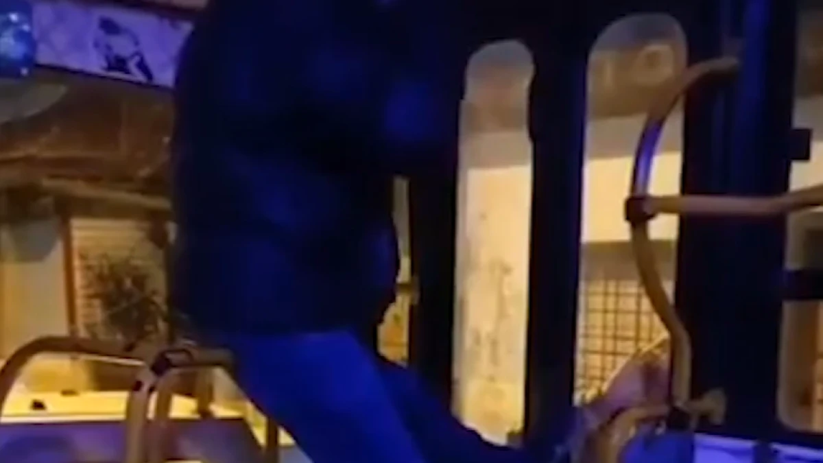 Un vídeo captura la furia de un pasajero al que obligan a bajar del autobús por no pagar el viaje