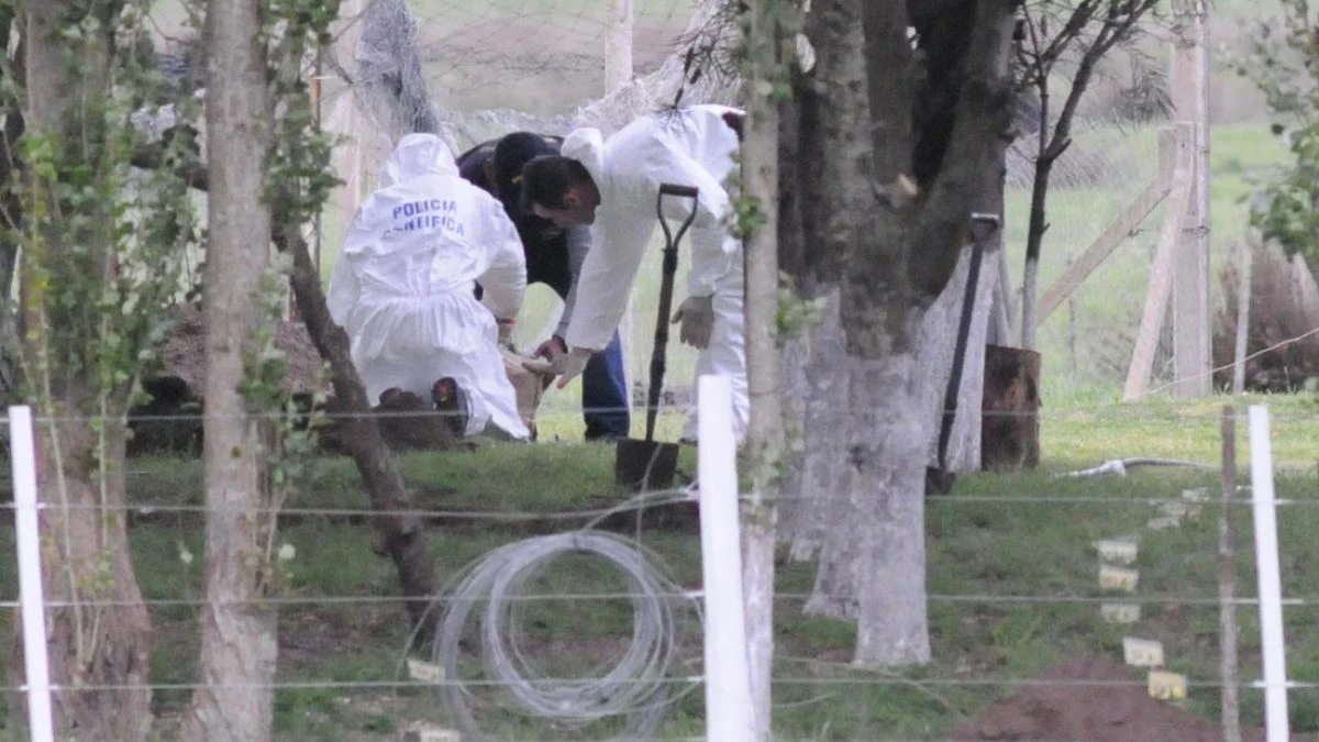 Hallan muerto a un niño de 2 años que se había perdido en un campo con signos de mordeduras de perros