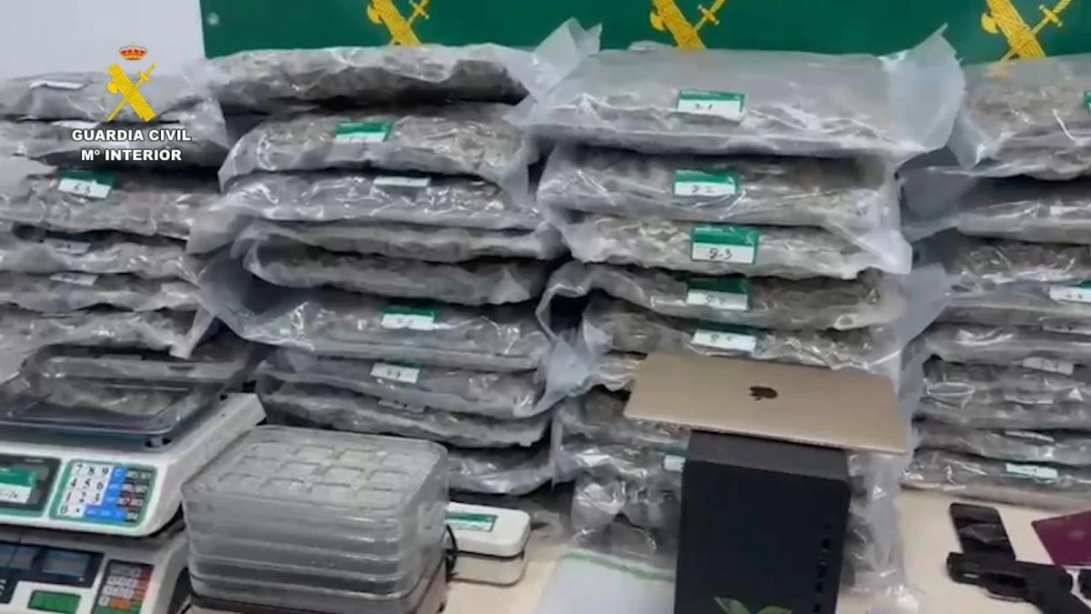 Prometían ‘retiros espirituales’ por internet, pero en realidad eran sesiones de consumo de todo tipo de drogas