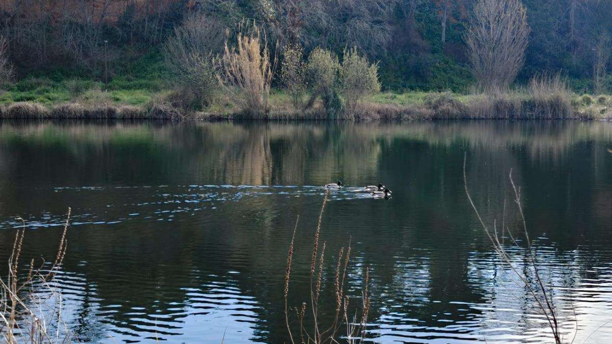 Oasis en el Vallès para conectar con la naturaleza