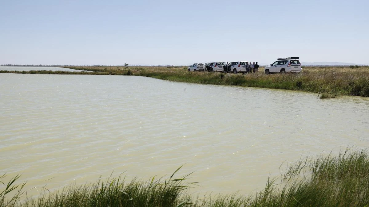 Misterio por los huesos humanos hallados en el río Guadalquivir de un varón de gran tamaño
