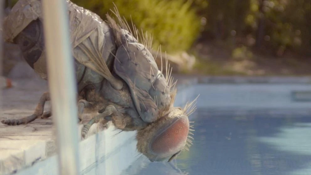 Una mosca gigante llega a Sitges con ‘Mandibules’