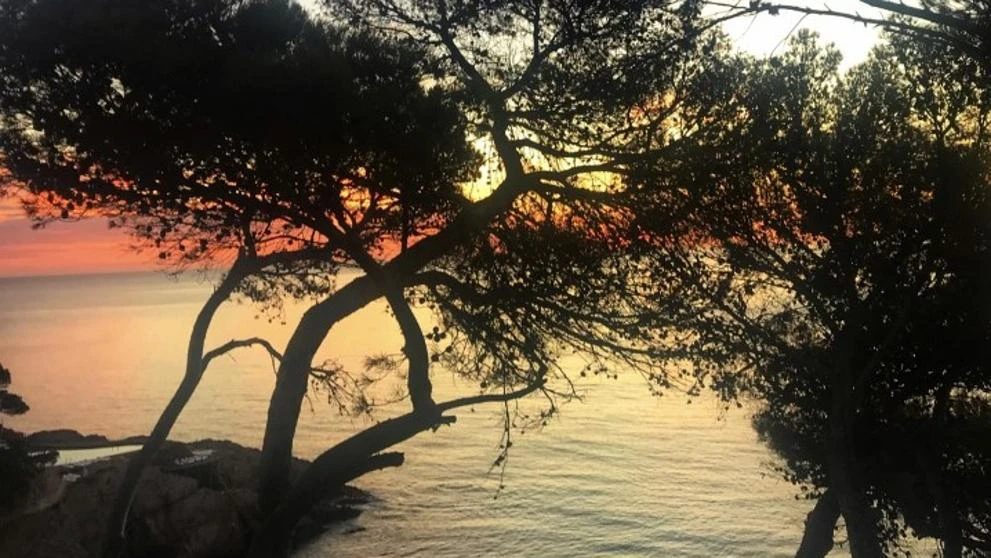 Amanecer en Cap sa Sal