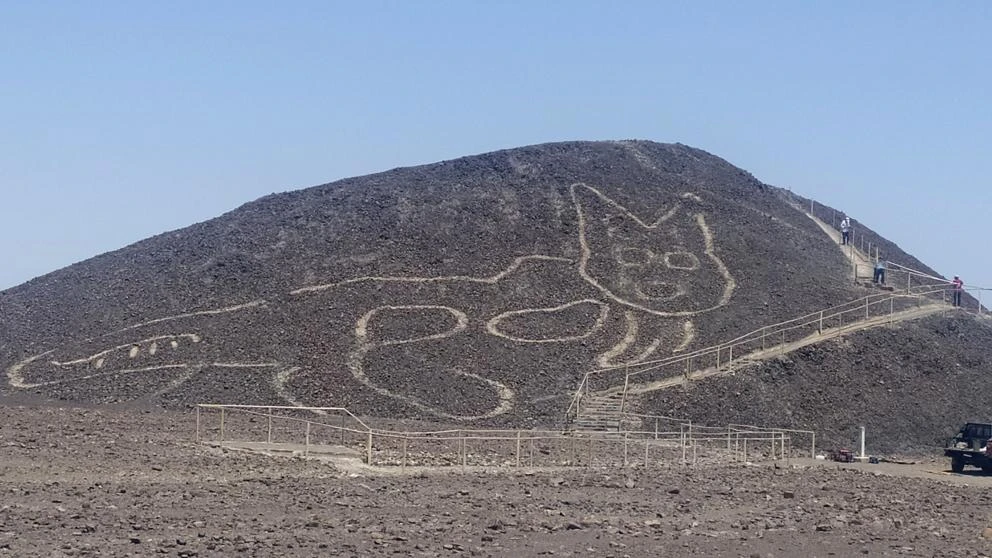 Descubierta una nueva figura en las Líneas de Nazca: un gato de 37 metros
