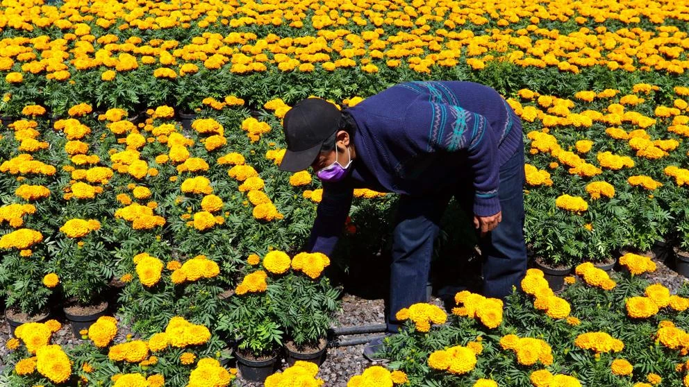 México prepara un día de los muertos marcado por la pandemia