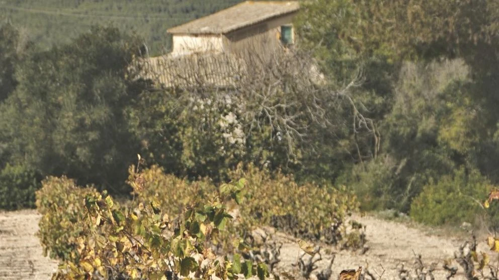 Ruta de Begues a Sitges por el Garraf