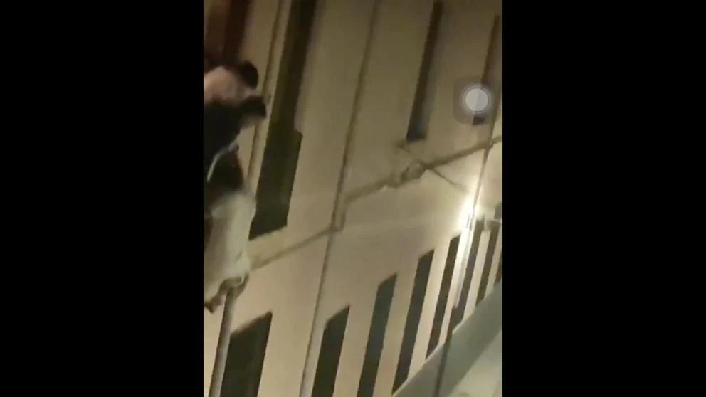 El vídeo viral de dos jóvenes que burlan el toque de queda en Granada trepando por la fachada del colegio mayor