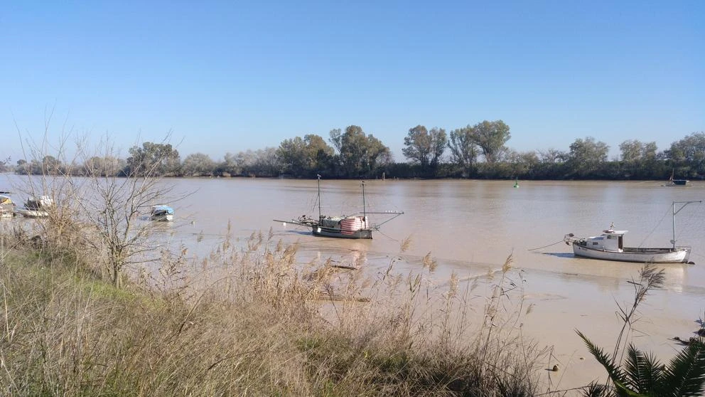 La contaminación por el pesticida lindano persiste en los ríos décadas después de su vertido sin control