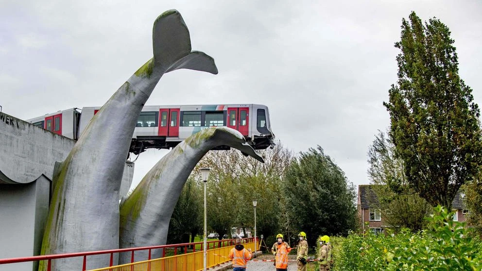 La cola de una ballena salva a un metro de Holanda de caer al vacío