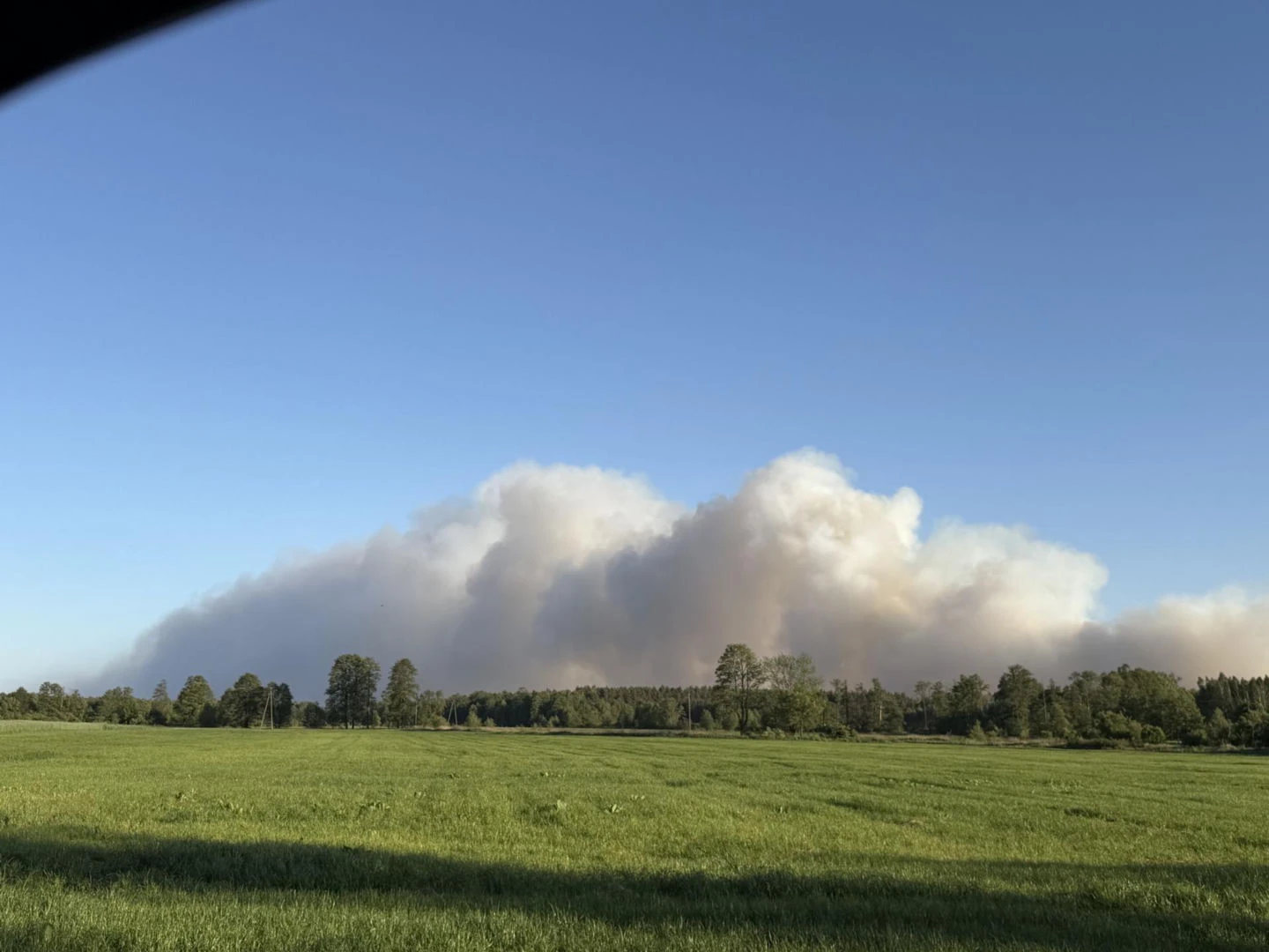 Pożar w powiecie wołomińskim Setki strażaków w akcji. Szef MSWiA mówi o 