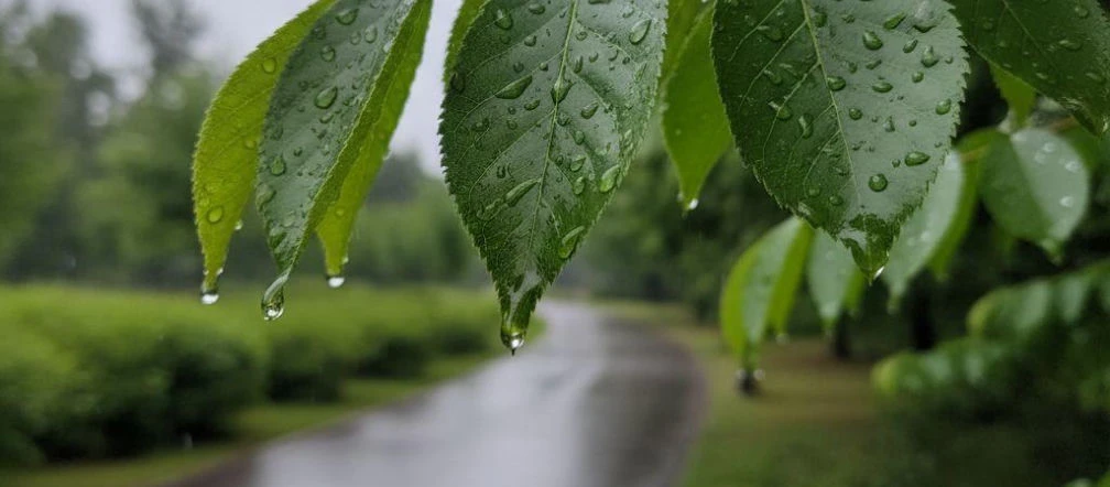 Weekend w Katowicach z wyraźną zmianą pogody. Jeden dzień będzie deszczowy