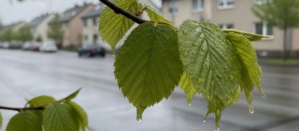 Deszczowa sobota i słoneczna niedziela w Łodzi. Weekend przyniesie zmianę pogody