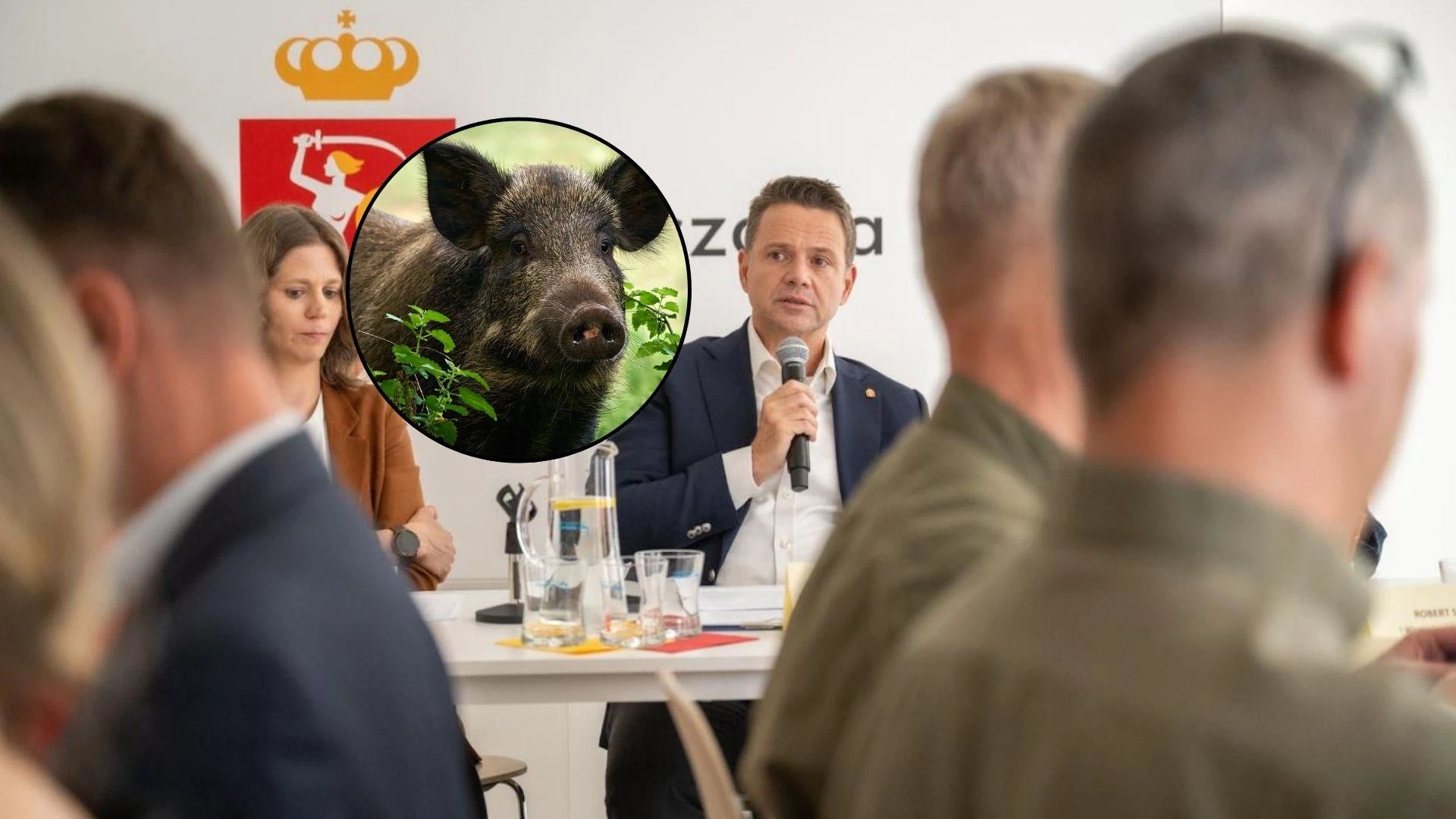 Dziki w mieście Twój samochód na celowniku dzika? Trzaskowski nie ma dobrych wieści