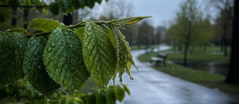Pogoda w Szczecinie przyniesie dużą zmianę. Weekend zacznie się ciepło, ale potem spadnie deszcz