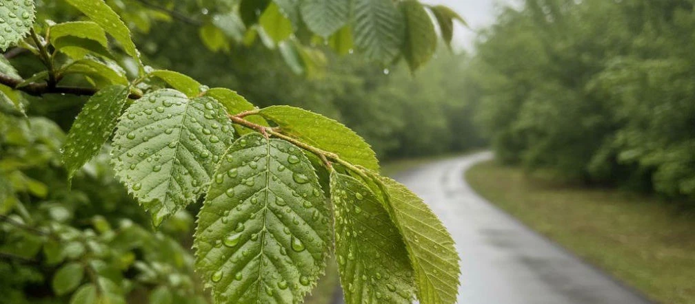 Ciepła sobota i deszczowa niedziela w Olsztynie. Pogoda zmieni się pod koniec weekendu
