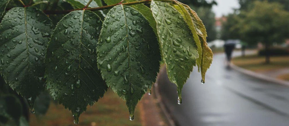 Weekend w Lublinie z chmurami i zmienną temperaturą. Sobota będzie najchłodniejsza