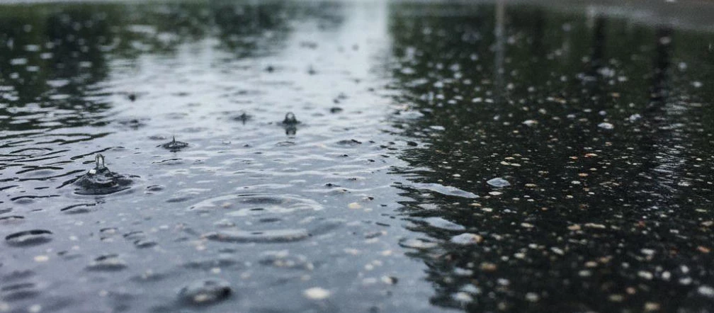 Weekend w Rzeszowie z coraz wyższą temperaturą. Niedziela przyniesie deszcz