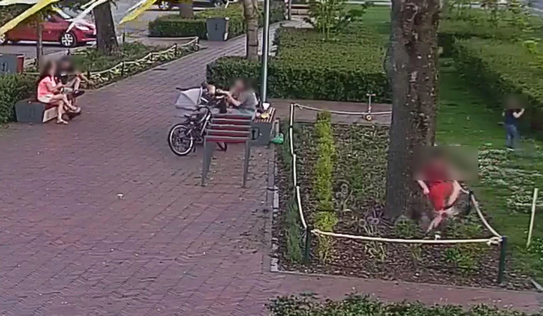 burza w sieci! Dzieci zniszczyły kwiaty, rodzice rozmawiali obok. Straż miejska zapowiada konsekwencje!
