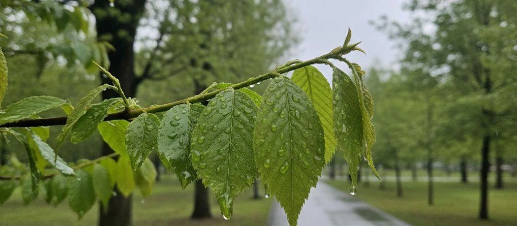 Pogoda w Kielcach na weekend. Po suchym piątku nadejdą dwa dni z opadami deszczu